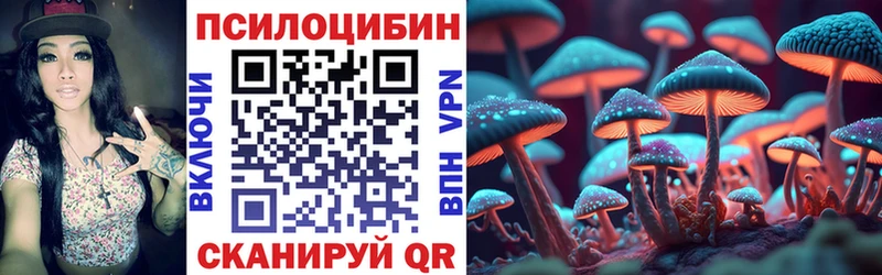 это официальный сайт  Кондрово  Псилоцибиновые грибы Cubensis  ссылка на мегу ССЫЛКА 